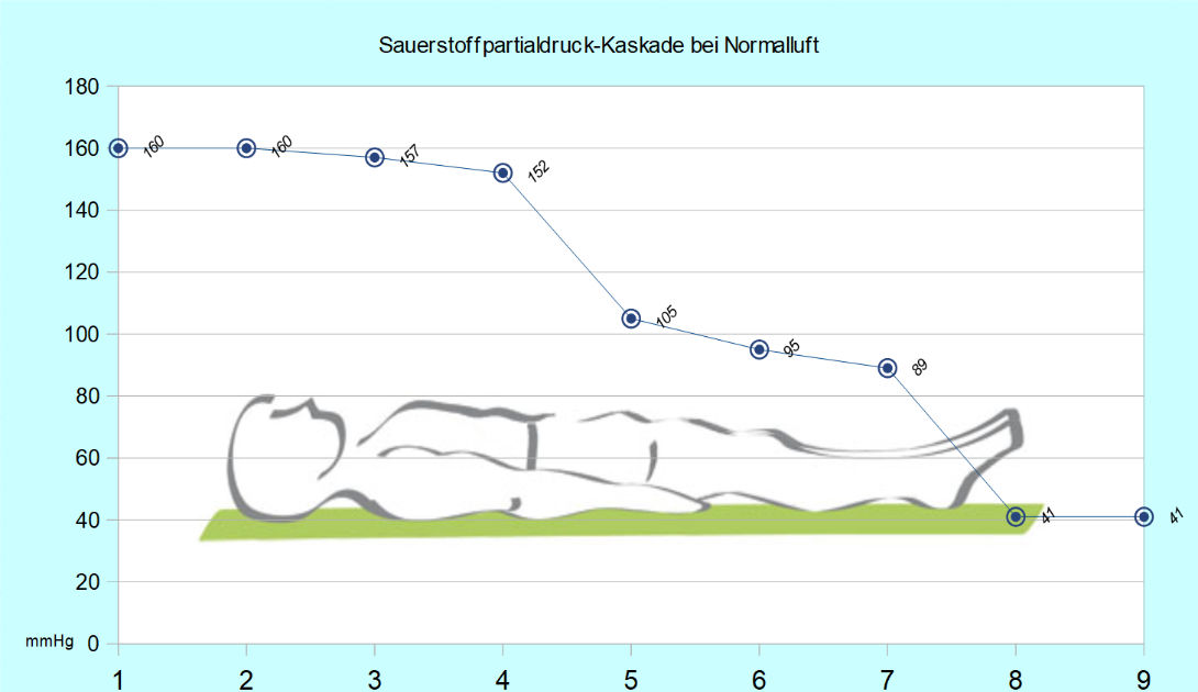 Sauerstoffpartialdruck Kaskade bei Normalluft