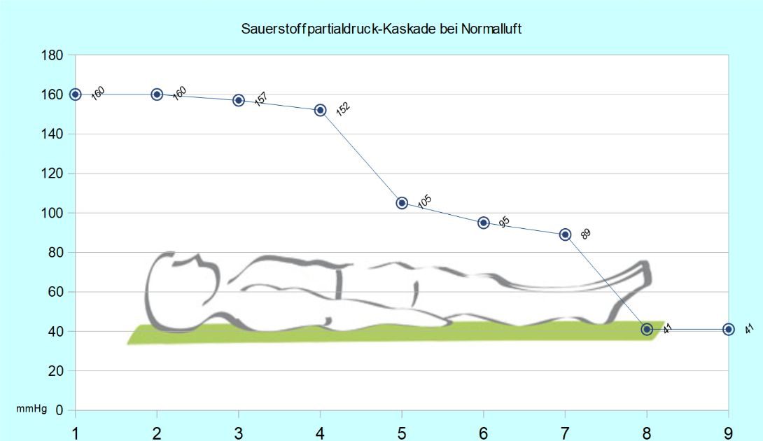 Sauerstoffpartialdruck-Kaskade bei Normalluft mit 21 % Sauerstoff